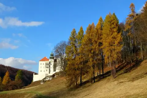 Pieskowa Skała atrakcje, które zaskoczą każdego turystę