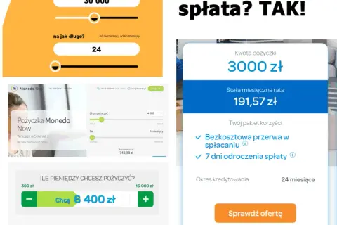 Pożyczka jak Provident - najlepsze alternatywy bez weryfikacji dochodów