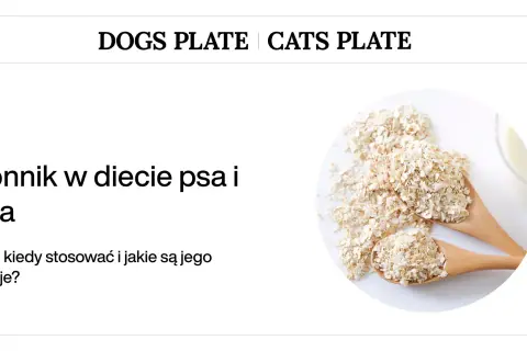 Płatki owsiane na łyżkach, symbolizujące błonnik dla kota i psa. Artykuł omawia jego rodzaje i zastosowanie.