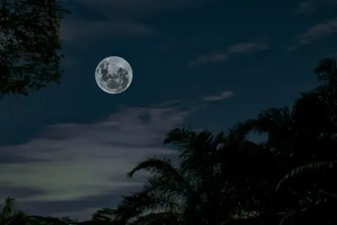 La pleine lune brille dans un ciel nocturne, évoquant le "clair de lune" de Verlaine. Des silhouettes d'arbres et de palmiers encadrent la scène.