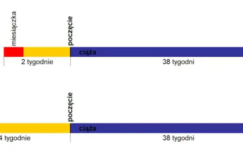Termin porodu: USG czy miesiączka? Która data jest pewniejsza?