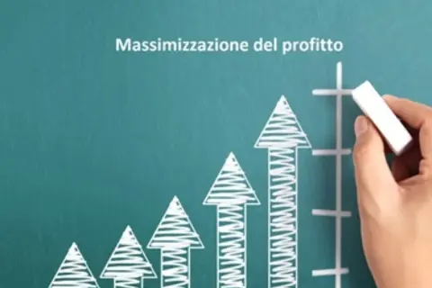 Grafico con frecce in crescita e la scritta "Massimizzazione del profitto". Ideale per chi vuole vendere locale commerciale e aumentare i guadagni.