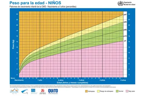Gráfico OMS de peso para la edad de niños. Muestra percentiles de peso para un peso niño 2 años y hasta 5 años.