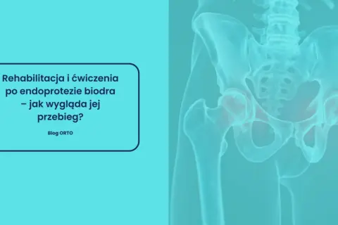 Rehabilitacja po endoprotezie biodra. Grafika przedstawia miednicę z zaznaczonymi stawami biodrowymi, sugerując przykurcz biodra.