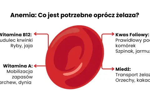 Anemia: co na anemię oprócz żelaza? Witamina B12, kwas foliowy, witamina A i miedź są kluczowe.