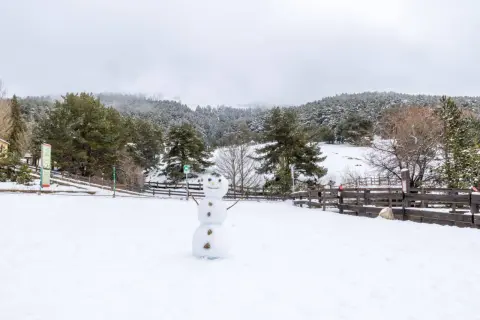 Muñeco de nieve sonriente en un paisaje nevado, ideal para saber donde ver nieve en Madrid. Bosques cubiertos de blanco y cielo nublado.