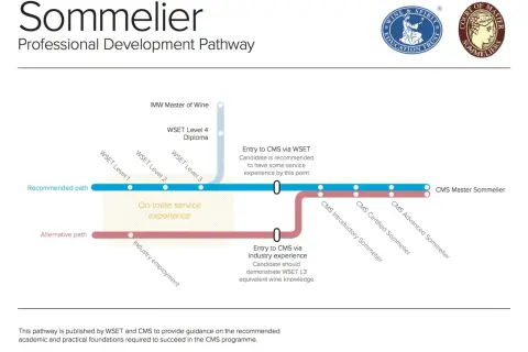 Ścieżka rozwoju sommeliera: od WSET do CMS Master. Dowiedz się, jak zostać sommelierem, wybierając ścieżkę akademicką lub branżową.