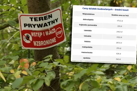 Ile kosztuje 1m2 działki budowlanej? Sprawdź aktualne ceny w Polsce