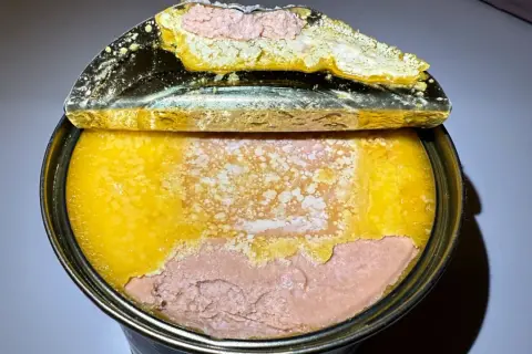 Otwarta puszka z pasztetem. Widoczna warstwa różowego pasztetu i żółtej galarety. To właśnie foie gras co to jest, czyli pasztet z gęsiej lub kaczej wątróbki.