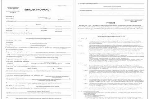 Świadectwo pracy: koniec umowy na okres próbny i co dalej. Dokument zawiera dane pracownika, okres zatrudnienia, powód ustania stosunku pracy i informacje o urlopach.