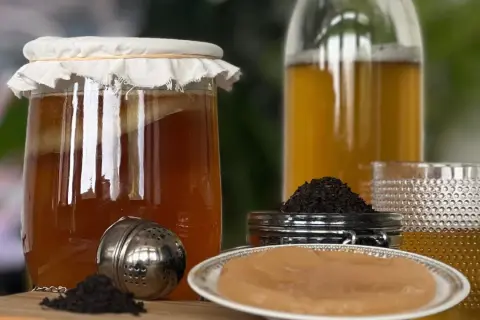 Un bocal de kombucha en fermentation, du thé noir et une mère de kombucha. Découvrez les kombucha bienfaits pour votre santé.