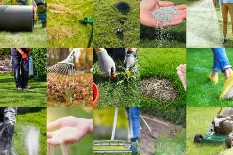 Wiosenna pielęgnacja trawnika: wałowanie, aeracja, nawożenie, usuwanie chwastów, siew i koszenie.