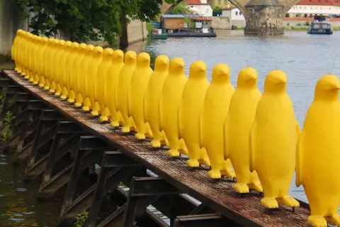 Żółte pingwiny na moście w Pradze to nietypowe atrakcje. Rząd żółtych rzeźb tworzy niezwykły widok nad rzeką.