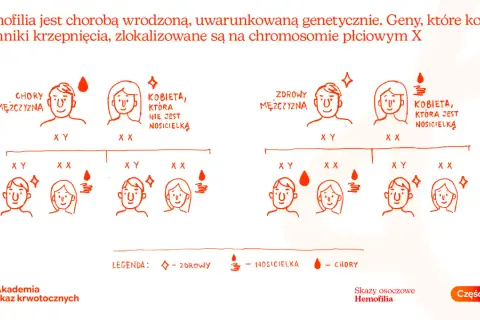 Wyjaśnienie, hemofilia co to jest: genetyczna choroba związana z chromosomem X, przedstawiona na schemacie dziedziczenia.