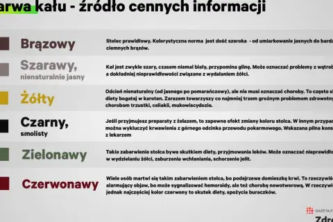 Zielony stolec u dorosłego może być skutkiem diety, leków lub problemów z wydzielaniem żółci.