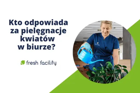 Mycie okien: Czy to obowiązek sprzątającej? Prawo, BHP, umowa
