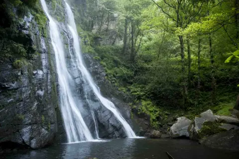 La seimeira de Vilagocende, una cascada imponente que cae por rocas cubiertas de musgo, rodeada de un bosque frondoso y verde.