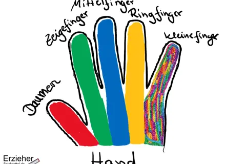 Bunte Finger einer Hand sind beschriftet: Daumen (rot), Zeigefinger (grün), Mittelfinger (blau), Ringfinger (gelb) und kleiner Finger (bunt).