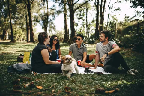 Un grupo de amigos disfruta de un picnic bajo los árboles, compartiendo risas y un perro juguetón. Un ejemplo de relaciones de amistad sanas.