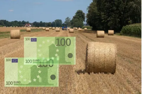 Pole z belami słomy i rachunki 100 euro. Zastanawiasz się, ile wynosi dopłata do 1 ha zboża?