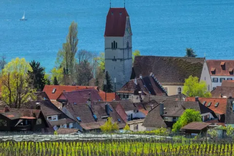 Hagnau, ein Geheimtipp am Bodensee. Weinreben im Vordergrund, malerische Dächer und der Kirchturm vor blauem Wasser.