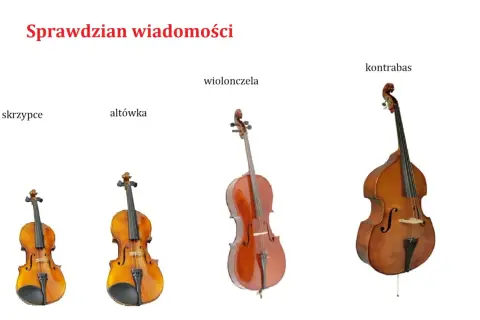 Skrzypce, altówka, wiolonczela i kontrabas ustawione obok siebie, pokazujące różnice w rozmiarze.