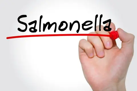 Ręka pisze markerem słowo "Salmonella", podkreślając problem salmonelli u dzieci.