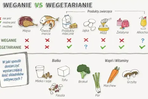 Dieta wegetariańska czego nie można jeść – unikaj tych produktów