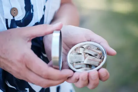 Händerna håller en snusdosa med portionssnus. En klassisk svensk snus hosta kan uppstå efter en prilla.