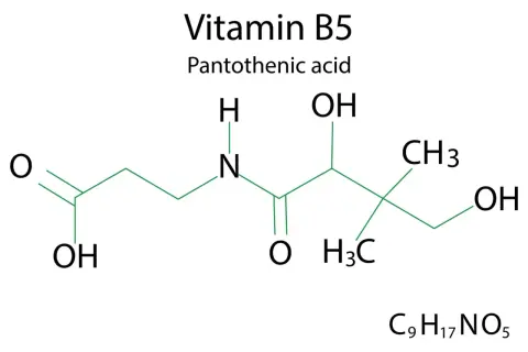 Chemische Strukturformel von Vitamin B5 (Pantothensäure) mit der Summenformel C9H17NO5.