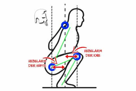 Schema einer Kniebeuge mit Hebelarmen an Hüfte und Knie. Der Vastus Intermedius ist hierbei zentral für die Streckung des Kniegelenks.