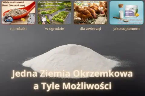 Ziemia okrzemkowa dla kur i nie tylko! Stosuj ją na robaki, w ogrodzie, dla zwierząt lub jako suplement diety. Jedna ziemia, wiele możliwości.