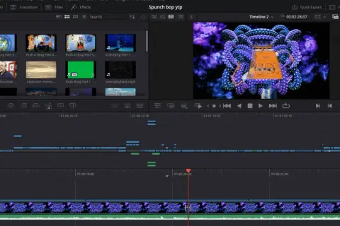 DaVinci Resolve layout showing a timeline with video clips, a preview window with a psychedelic octopus, and media pool items.