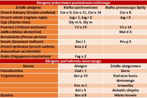 Alergia klasa 2: Co oznacza wynik? Interpretacja i dalsze kroki