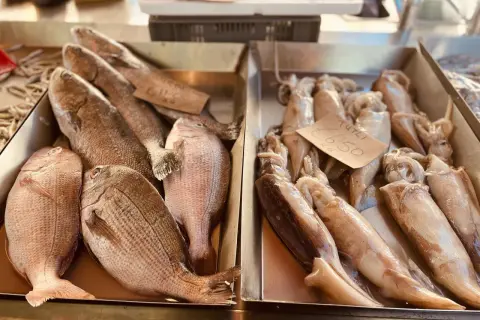 Gdzie zjeść w Marsaxlokk? Najlepsze restauracje z owocami morza