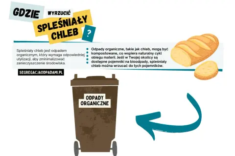 Spóźniony chleb to odpady organiczne, które można kompostować. Jeśli w Twojej okolicy są pojemniki na bioodpady, wrzuć tam spleśniały chleb.