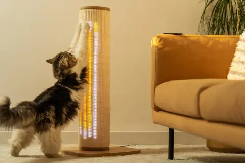 Katze kratzt an Sisal-Kratzbaum mit LED-Beleuchtung. Ein gelber Sofastoff ist im Hintergrund zu sehen.