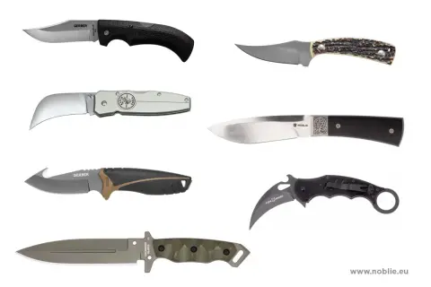 Vari tipi di coltelli da cucina e usi: coltello pieghevole, da caccia, da intaglio, karambit e altri.