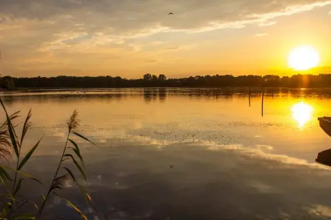 Zachód słońca nad rzeką Barycz. Woda odbija złote światło, trzciny na pierwszym planie, łódź przy brzegu.