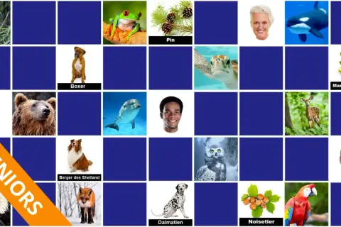 Jeu de mémoire dur : toucan, grenouille, pin, boxer, tortue, marronnier d'Inde, homme, ours brun, dauphin, homme, cerf, chouette, aigle, berger des Shetland, renard, dalmatien, noisetier, ara.