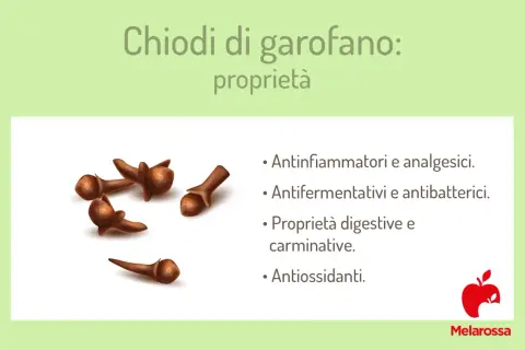 Chiodi di garofano: proprietà antinfiammatorie, digestive e antiossidanti. Un tesoro di benefici naturali.