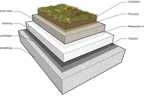 Detaljerad illustration av en sedumtak konstruktion med lager som växtbädd, fiberduk, isolering och tätskikt.