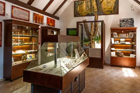 Wnętrze muzeum bursztynu z gablotami pełnymi skarbów i obrazem lasu na ścianie.