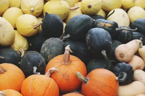 Un assortiment coloré de courges d'automne, incluant des citrouilles orange vif, des courges de butternut pâles et des courges d'acorn vert foncé.