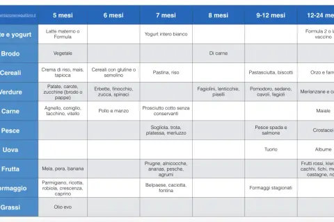 Schema svezzamento 7 mesi: yogurt, pastina, riso, prosciutto cotto, sogliola, trota, platessa, merluzzo, prugne, albicocche, ananas, pesche, agrumi, belpaese, caciotta, fontina.