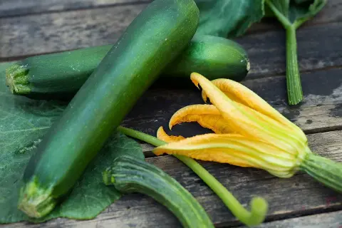 Färska zucchinis och en blomma på träbordet. Snart dags att plantera zucchini för en riklig skörd.