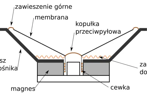 Schemat budowy kolumny głośnikowej: membrana, zawieszenie górne i dolne, kopułka przeciwpyłowa, kosz, magnes i cewka.