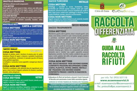 Guida alla raccolta differenziata: scopri dove si butta ogni rifiuto per un pianeta più pulito.