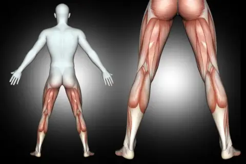 Correr: qué músculos activas y cómo fortalecerlos para rendir