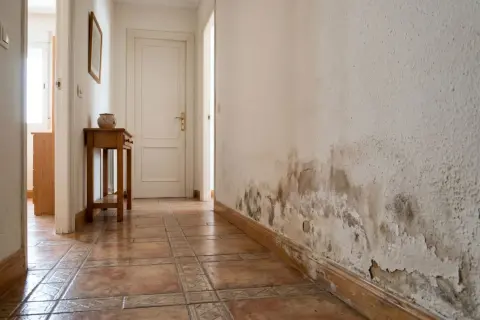 Pared con manchas de humedad y pintura descascarada. Averigua cuanto cuesta arreglar humedades por capilaridad.
